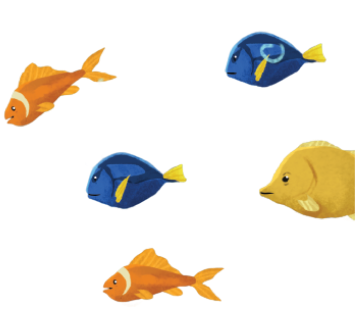 fish-img