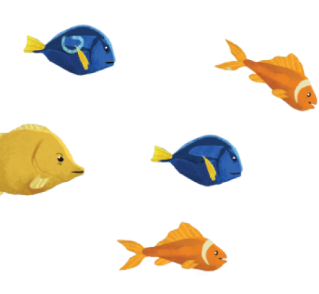 right-fishes-img